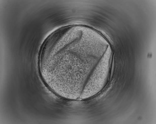 X0000099471134200805301550