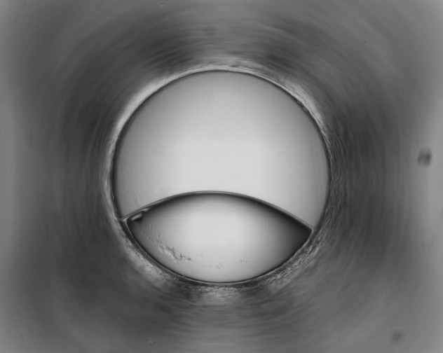 X0000099471136200805301550