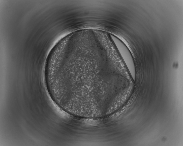 X0000099471139200805301550