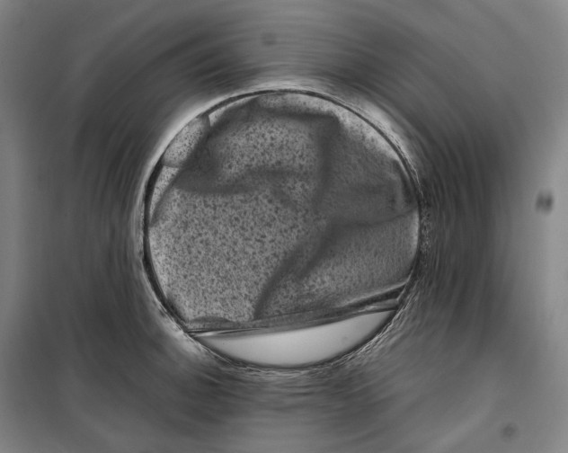 X0000099471140200805301550