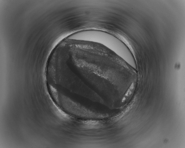 X0000099471141200805301550