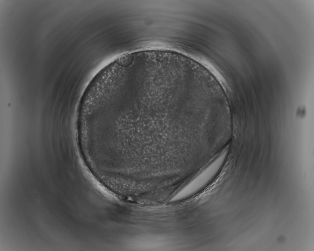 X0000099471142200805301550