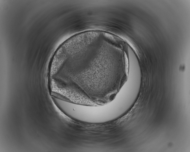 X0000099471143200805301550