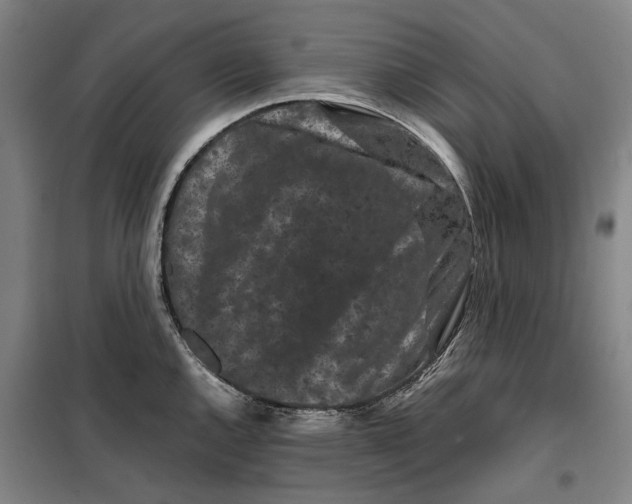 X0000099471144200805301550