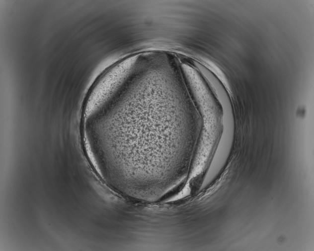 X0000099471146200805301550