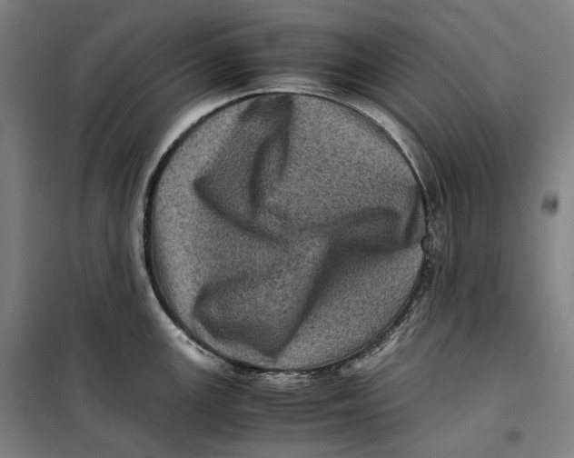 X0000099471147200805301550