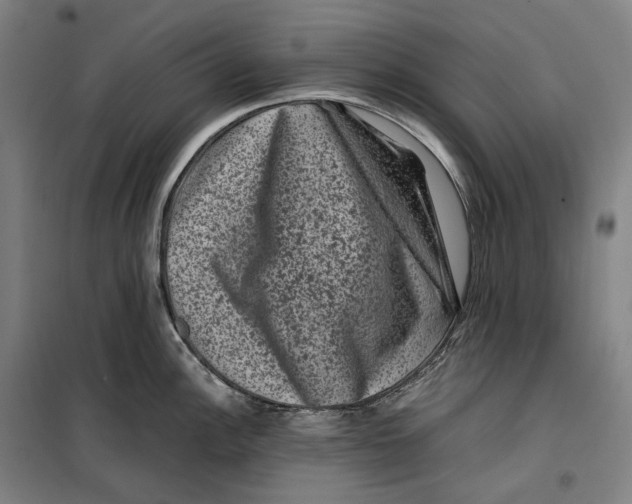 X0000099471148200805301550