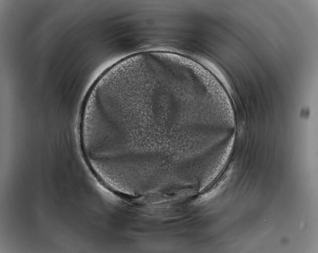 X0000099471149200805301550