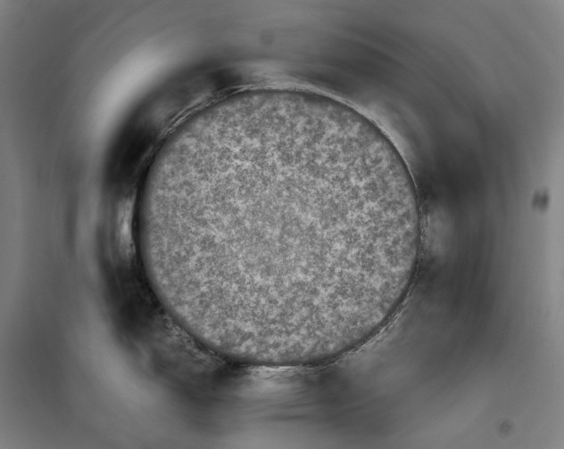 X0000099471150200805301550