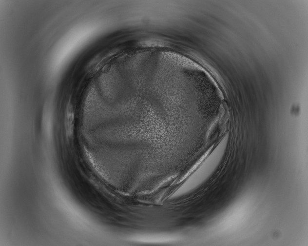 X0000099471151200805301550