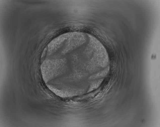 X0000099471153200805301550