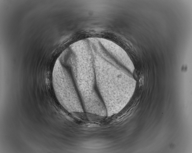 X0000099471156200805301550