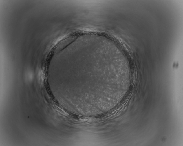 X0000099471157200805301550