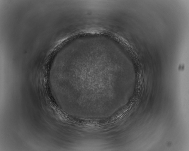 X0000099471158200805301550