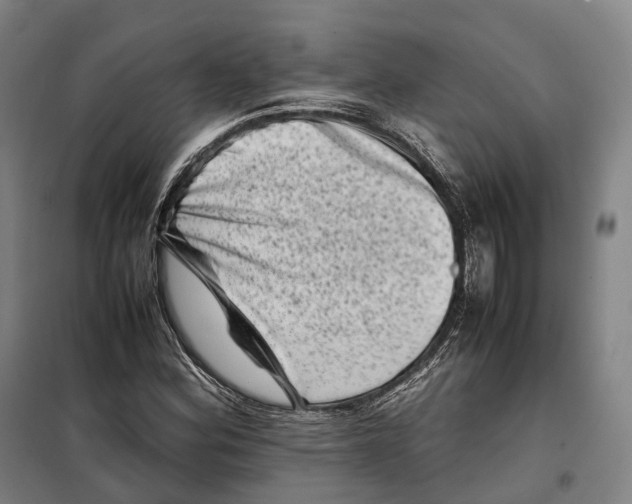 X0000099471164200805301550