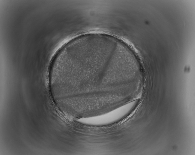 X0000099471167200805301550