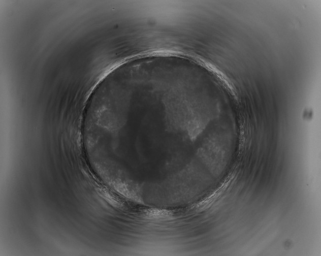 X0000099471170200805301550