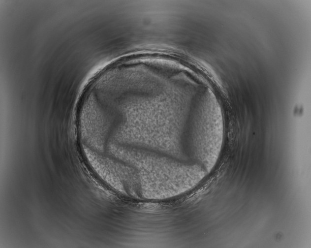 X0000099471172200805301550