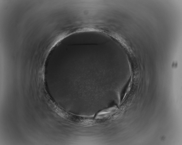 X0000099471173200805301550