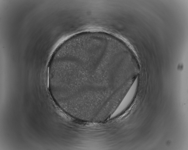 X0000099471175200805301549