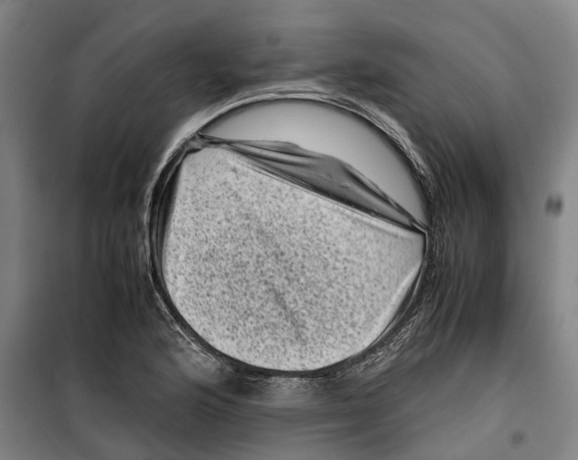 X0000099471176200805301549