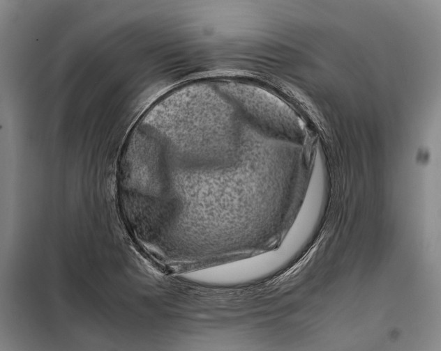 X0000099471177200805301549