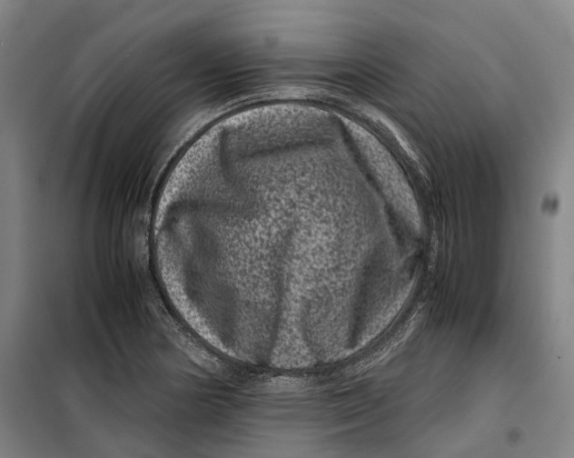 X0000099471178200805301549