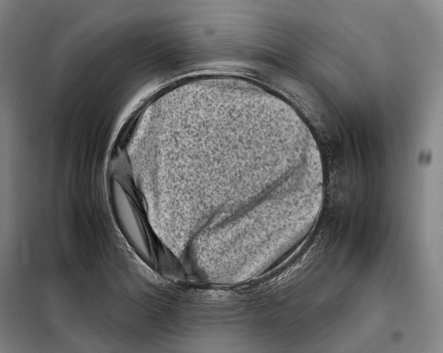 X0000099471180200805301549