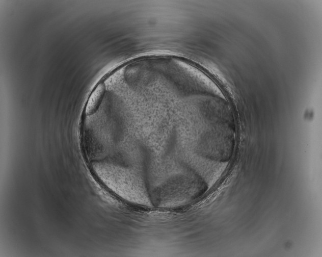 X0000099471181200805301549