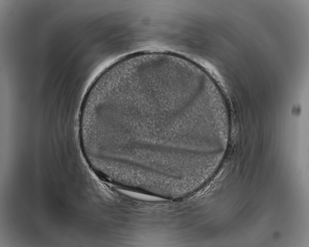 X0000099471183200805301549