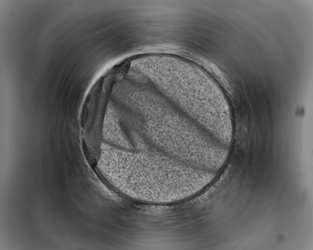 X0000099471184200805301549