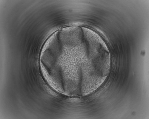 X0000099471186200805301549