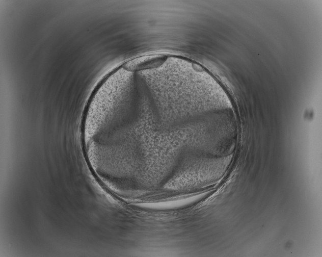 X0000099471189200805301549