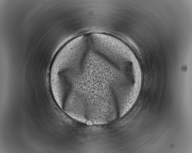 X0000099471190200805301549