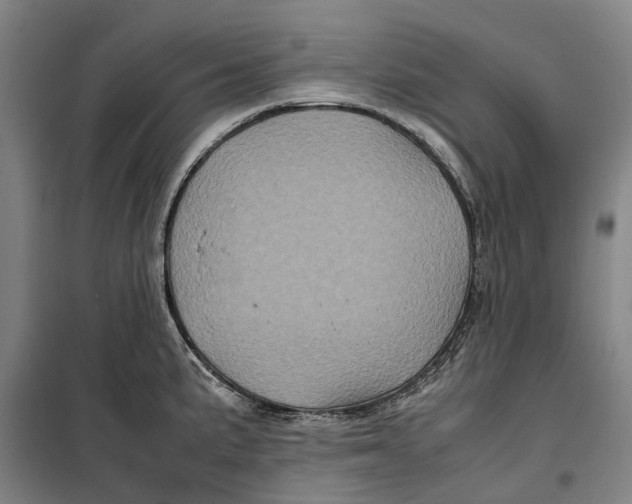 X0000099471191200805301549