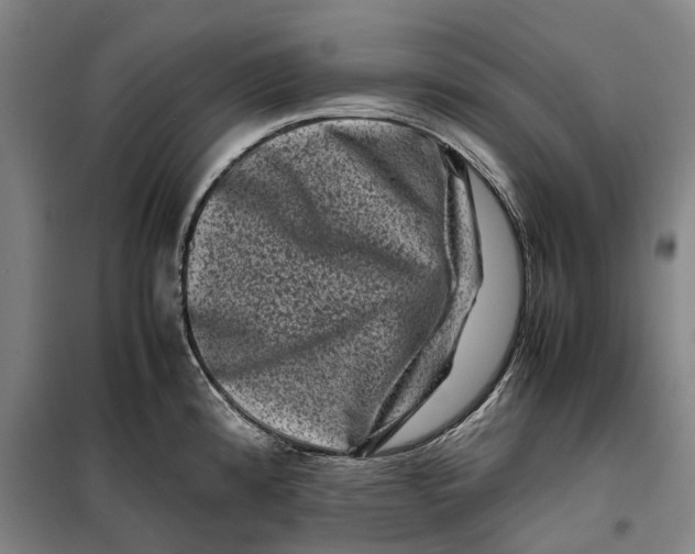 X0000099471192200805301549