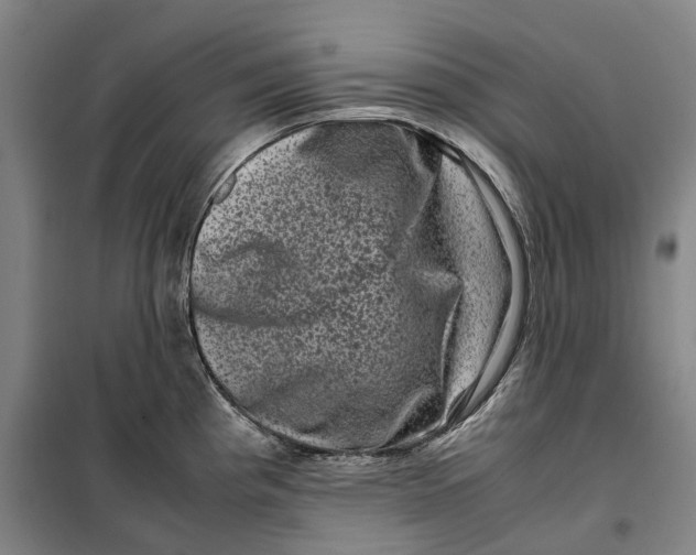 X0000099471193200805301549