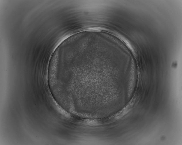 X0000099471194200805301549