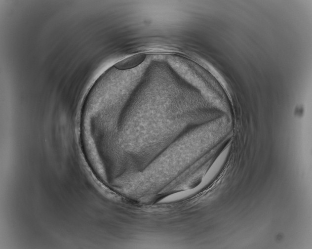 X0000099471195200805301549