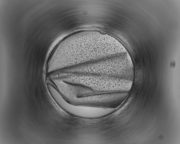 X0000099471196200805301549