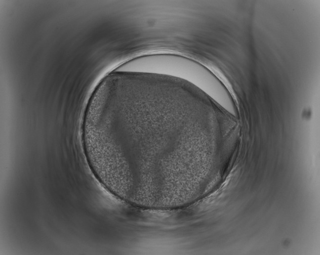 X0000099471197200805301549