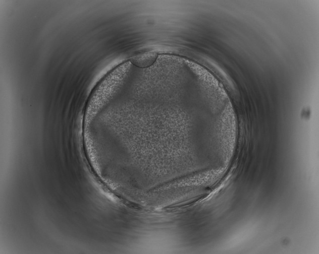 X0000099471198200805301549