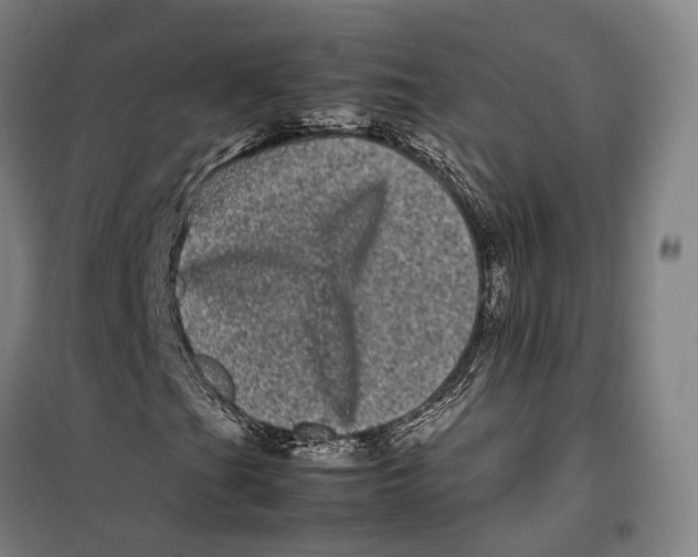 X0000099471201200805301548