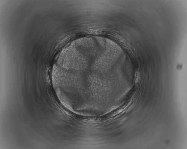 X0000099471202200805301548