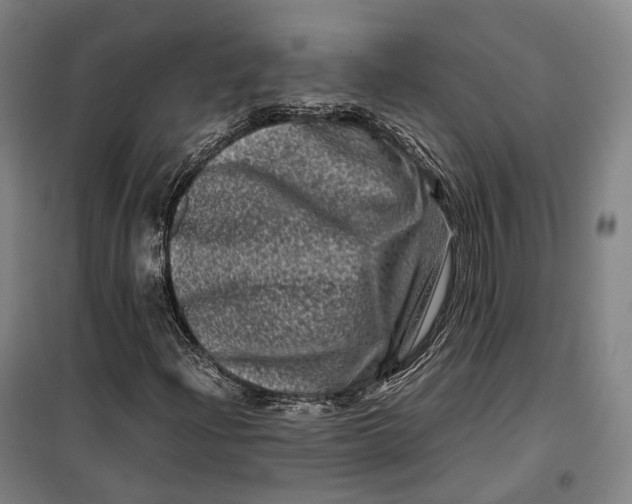 X0000099471204200805301548