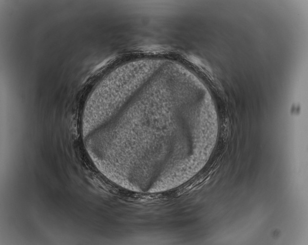 X0000099471205200805301548