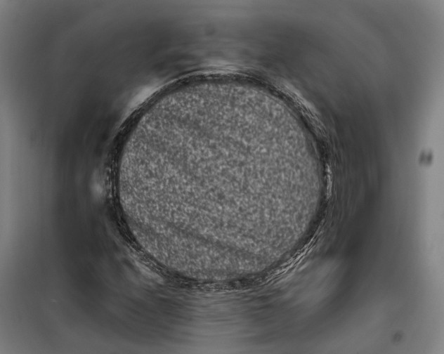 X0000099471208200805301548