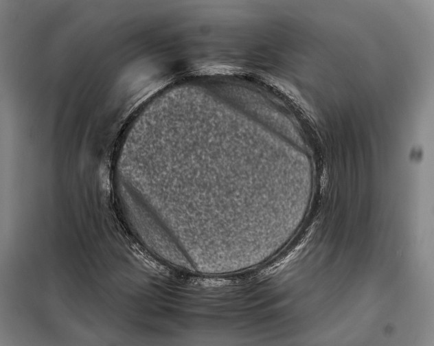 X0000099471209200805301549