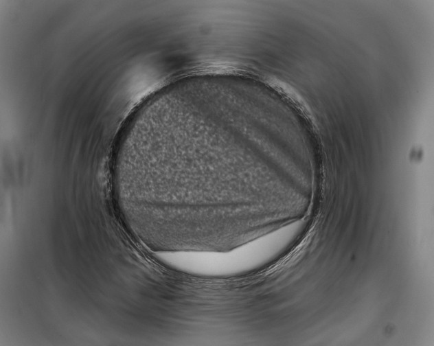 X0000099471210200805301549