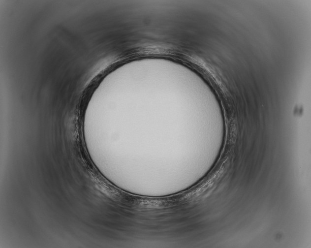 X0000099471211200805301549